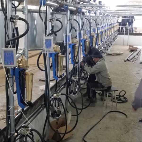 Herringbone Milking Parlor with 380V/50Hz Power and CE ISO SGS FDA Certification for Dairy Cows