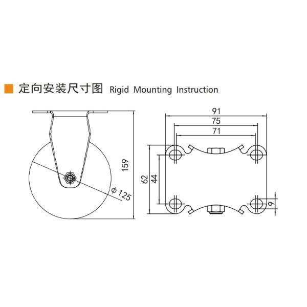 EDL 5Inch Stainless Steel Medium Duty Caster With Durable  Wheel Loading 150Kg S545P-25