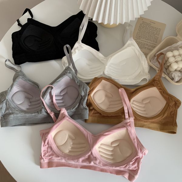 New Style Women Wholesale Pure Cotton Ribbed Bra Thin Slim Girl Special Cotton Bra Low Minimum Order Quantity Wholesale