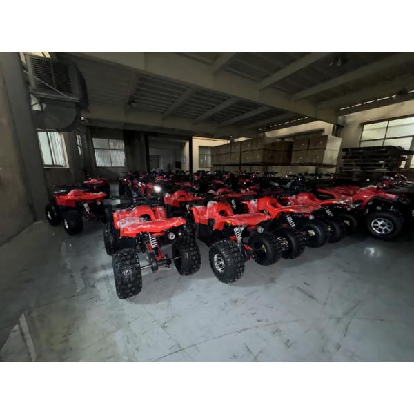110cc Electric Start Mini Quad Four-wheeler for Children Chain Drive Automatic 125cc