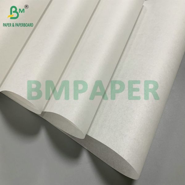 Unbleached Chlorine-Free 35gsm 40gsm Parchment Baking Paper for Cookie Bread Roasting Unbleached Chlorine-Free 35gsm 40gsm Parchment Baking Paper for Cookie Bread Roasting