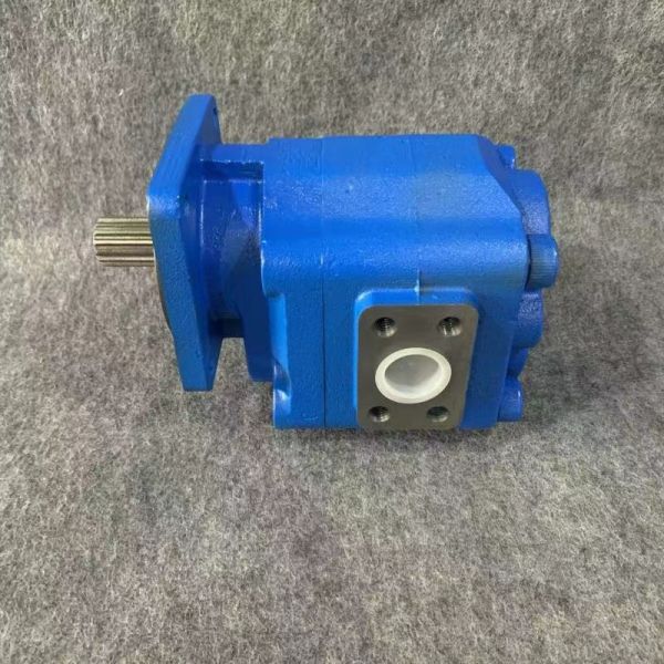 Gear oil pump Gear pumpP5100-F100NP3676/P124-G16Y03G P5100-F100NP3676/P124-G16Y18G P5100-F100NP3676/P124-G25G P5100-F100NP3676G factory