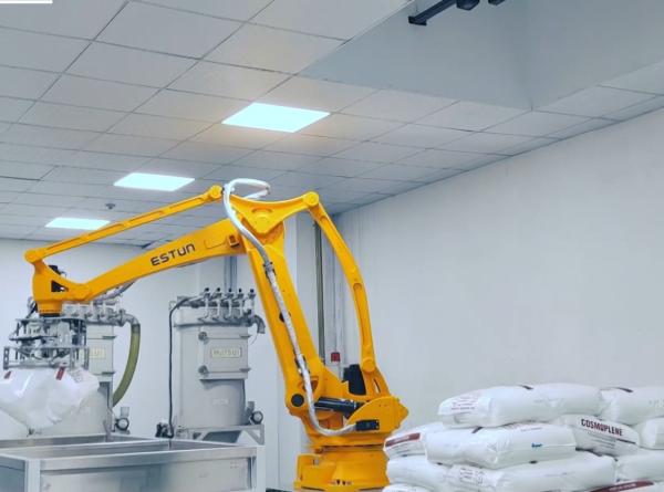 Brazo robótico industrial de bajo costo en China ESTUN ER180 paletizador