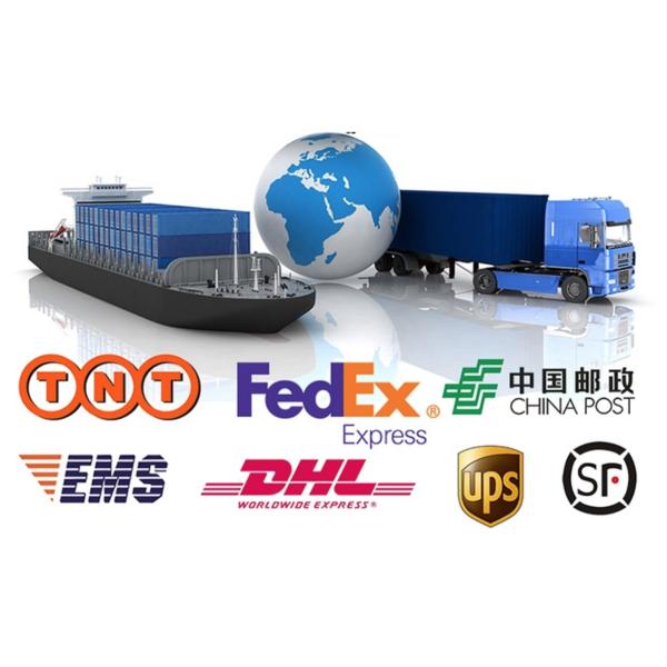 Painted Steel Camping Barbecue Grill Oven Cool Camping Accessories EN1860