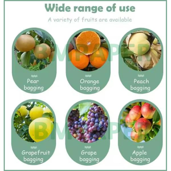 56gm Protecteur de la culture des fruits imperméable à l'eau Mangue papier d'emballage 28 x 38cm