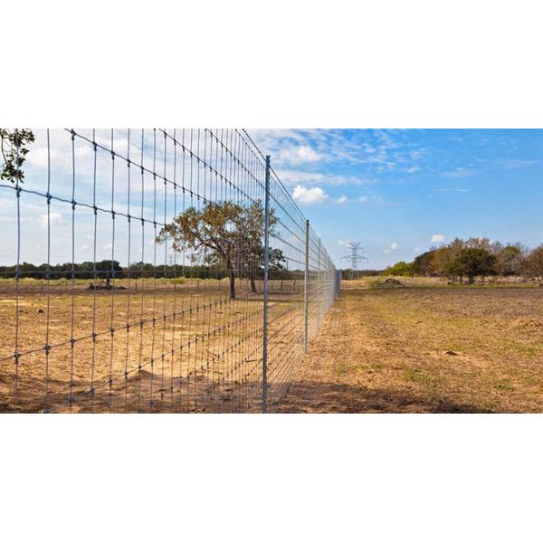ограждать фермы провода 2.5mm 50m длинный гальванизированный