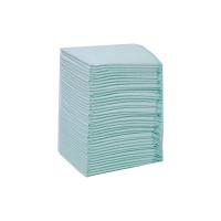 Super Absorção Pet Potty Training Pads Extra Large Leak Proof Disposable Puppy Pads