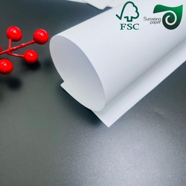 Rouleaux de papier d'impression offset de 650 mm à 800 mm avec une rigidité et une résistance mécaniques exceptionnelles