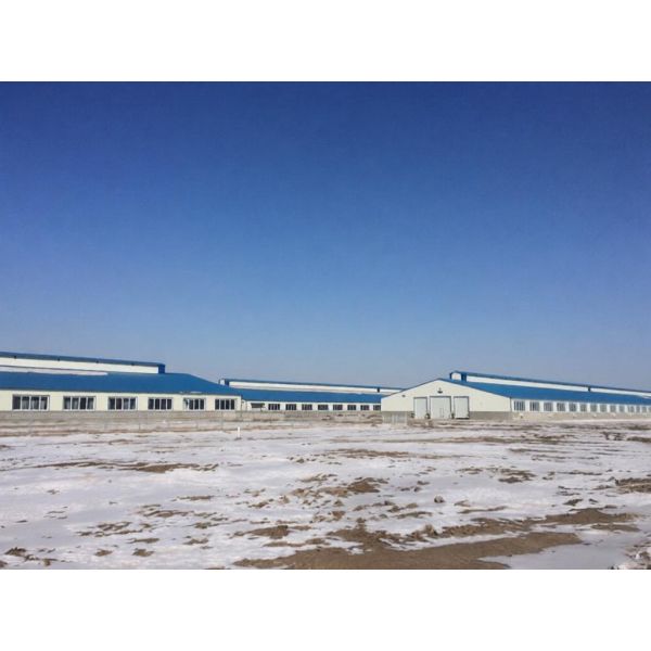 Prefabricated Industry Corrugated Metal Roofing Heavy Light Structural Steel Frame Construction Warehouse