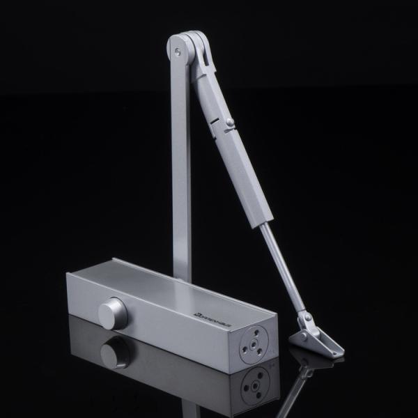 Дверь руки владением Эуроспек открытая - более близкая сила Бакчек весны Д2000Т регулируемая