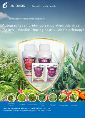 Classificação de vermes para controle de pragas Wuhan Unioasis Biológica