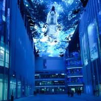 10000 Lumen Projection du ciel nocturne Projecteur immersif pour la rue des affaires