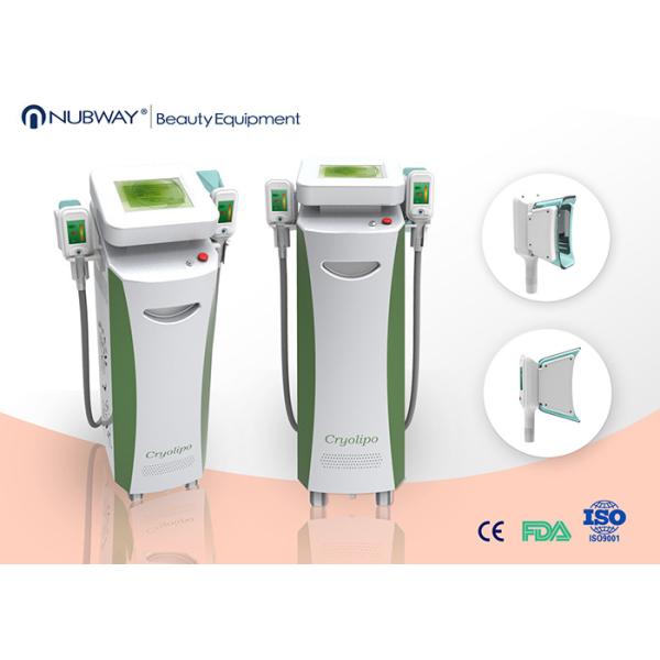 cryolipolysis fat freeze slimming equipment / crypolysis fat freezing machine