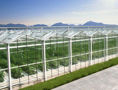 Hermetic Agricultural Glass Greenhouse , Venlo Greenhouse Structure Aluminium Alloy Roof