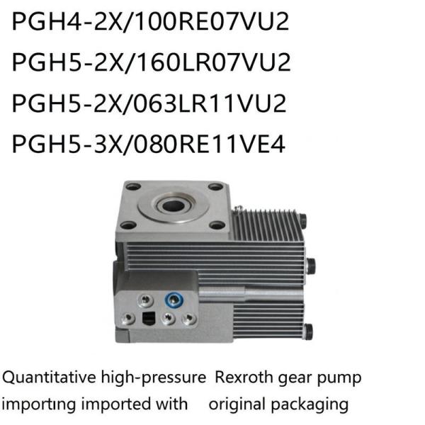 Quantitative High Pressure Rexroth Gear Pump with 12 Months Warranty and 100% Tested Great Performance