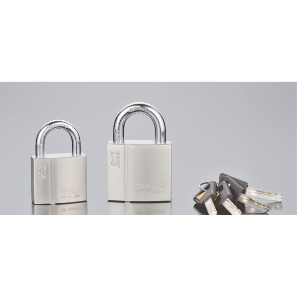 Rarlux Fine Workmanship Brass Lock Arc groove Electroplating Blade PADLOCK Industrial Safety Lockout Key Operated Durable High