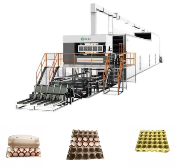 Moulded Apple Fruit Tray Making Machine Full Automatic Production Line