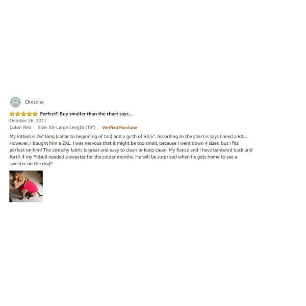 Куртка собаки с кольцом поводка