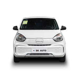Емкость батареи электрического автомобиля 29Kwh автомобилей 100km/H Roewe умная мини EV умная