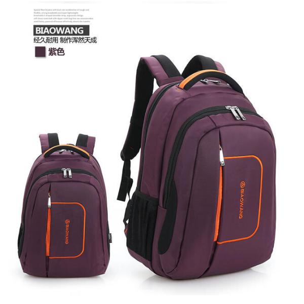 Biaowang guangzhou facotory cheap price men computer bag,laptop backpack business bag