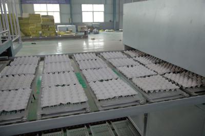 104kw 380v Chicken Egg Tray Machine Roller Type 1 Year Warranty