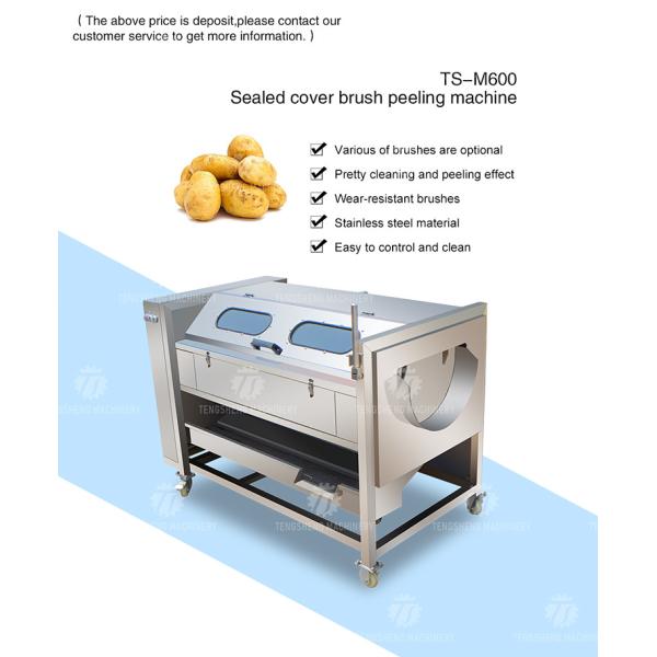 Имбирь 1500KG/H слезая машину ролика шерстей слезая машины батата картошки машины чистки очищая слезая