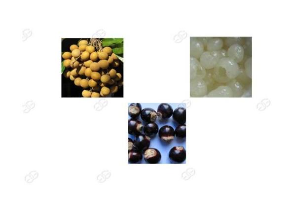Commercial Longan Seed Pitting Machine Fruit Kernel Removing Machine 30000 Pcs / H