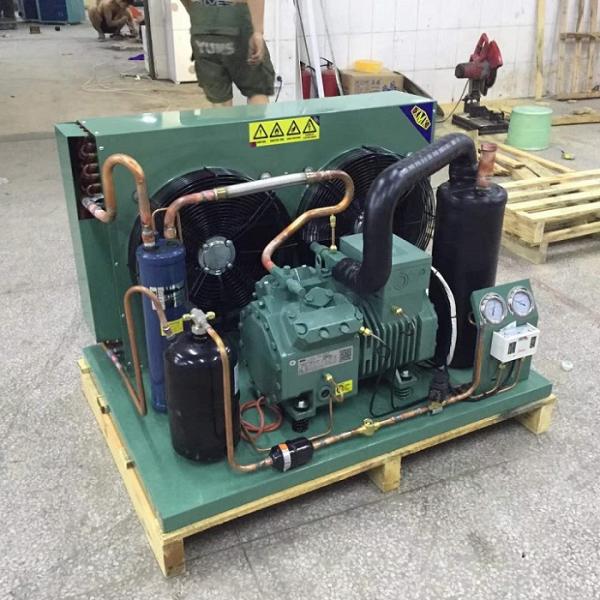 Прогулка замораживателя креветки/говядины в оборудовании рефрижерации хранения холодной комнаты