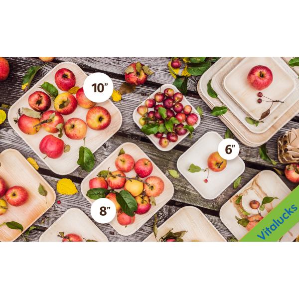 10-Piece Set of Palm Leaf Plates for Wedding Dinner Round and Square Disposable Dishes
