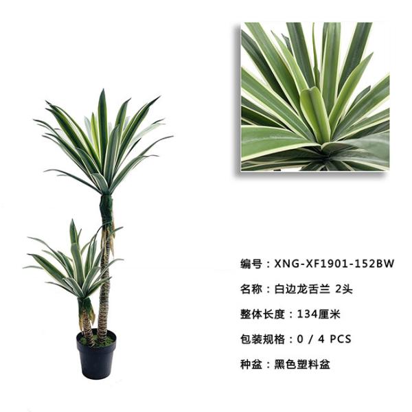 Árvore artificial referente à cultura norte-americana 100CM 134CM 166CM dos bonsais da agave flexível das hortaliças da colagem