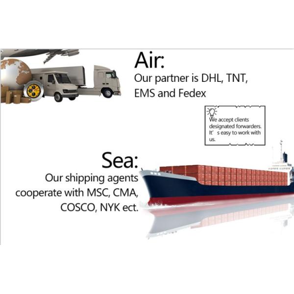 Клейковина волокна лапшей быстрого приготовления Shirataki низко- калории высокая диетическая свободная