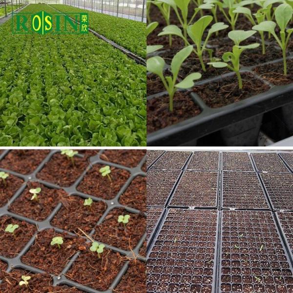 Custom PVC Plastic Black Plastic Seed Trays 288 Hole For Agricultural Planting