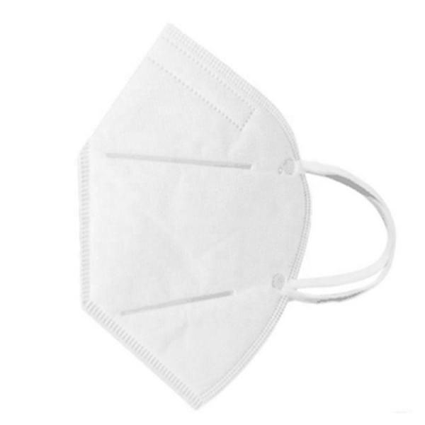 Infiltrate Coronavirus Particulate KN95 Earloop Mask