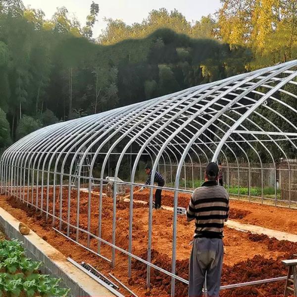 Plastic Tunnel Strawberries Agricultural Farm Tunnel Plastic Greenhouse With Ventilation System