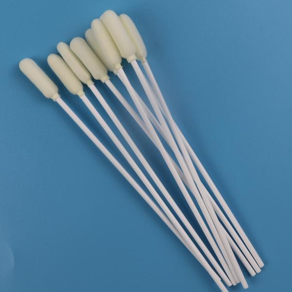 esponja oral estéril médica del muestreo de la cabeza redonda grande de 6m m disponible