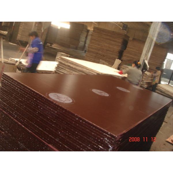 18mm combi film faced plywood with WBP glue