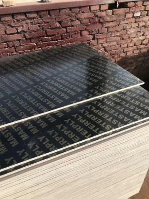 Customized Thickness Construction Grade Plywood Low Formaldehyde Emission