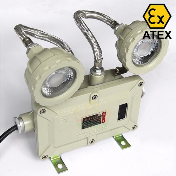 Lampe de secours à double tête antidéflagrante ATEX 6W - Montage mural, IP65, Classe I/Zone 1 & 2
