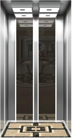 304 HSS Indoor Personal Home Elevators Machine Room Less Residential Lift