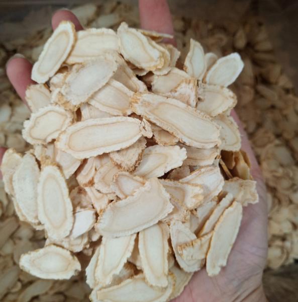 Organic American Ginseng Tea HACCP FDA HALAL Ginseng Root Tea