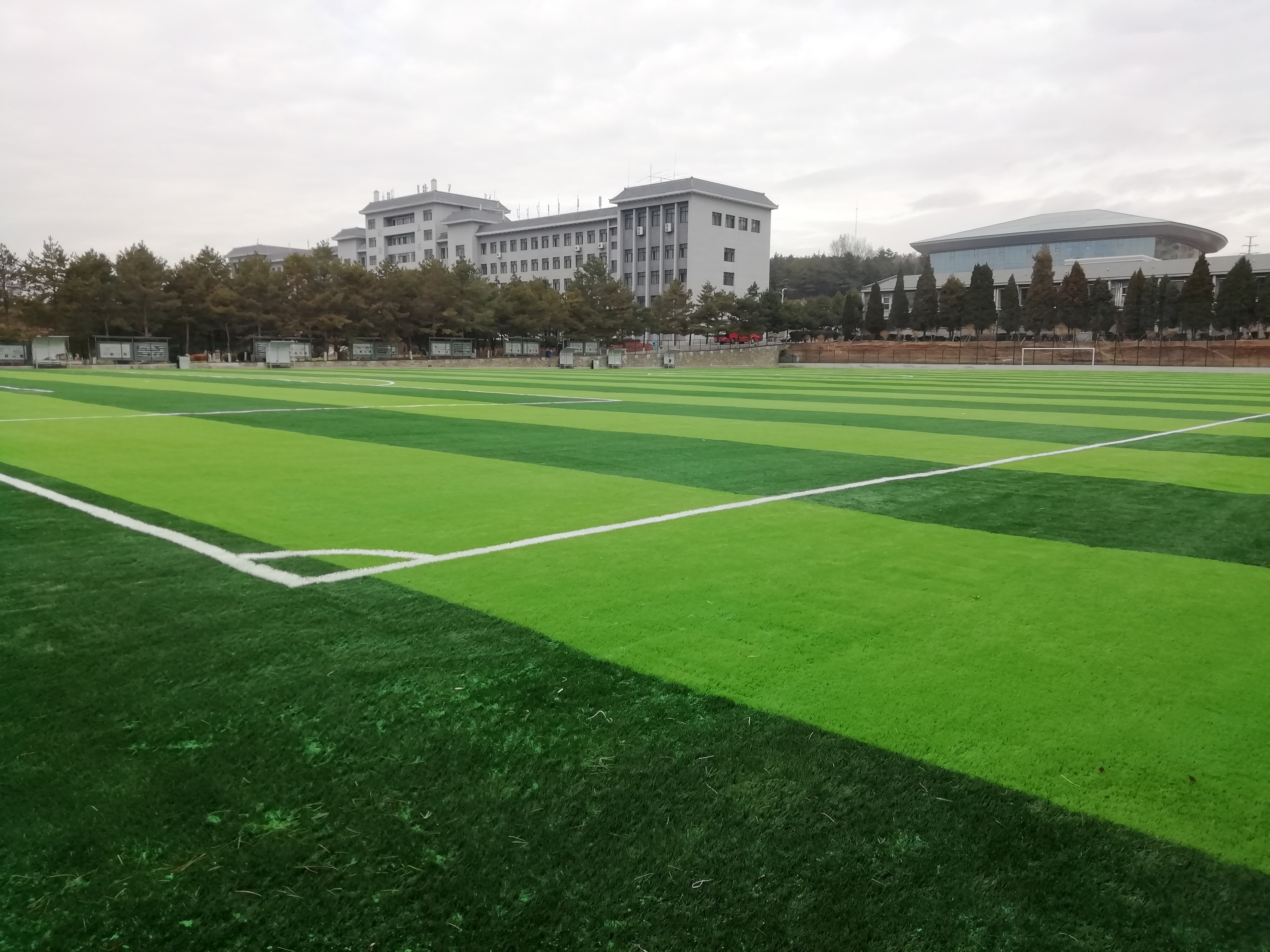 High Elasticity EPDM Rubber Granules for Running Tracks Multi Sport Courts and Fitness Areas Soccer Field Sports Complex