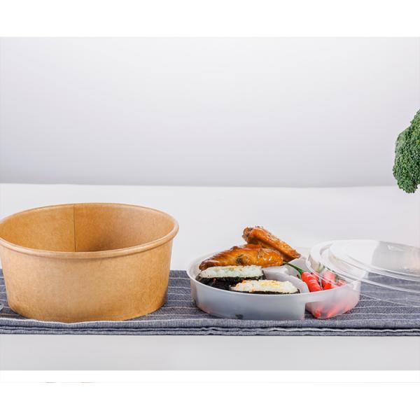 Freezer Safe Disposable Divided Plastic Plates With Three Compartment Tray