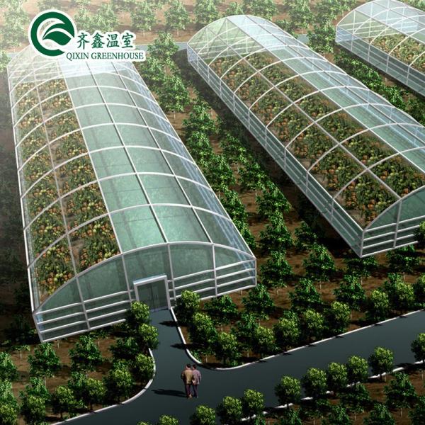 Single Span Greenhouse Mushroom Growing Equipment Covered with Transparent Plastic Film