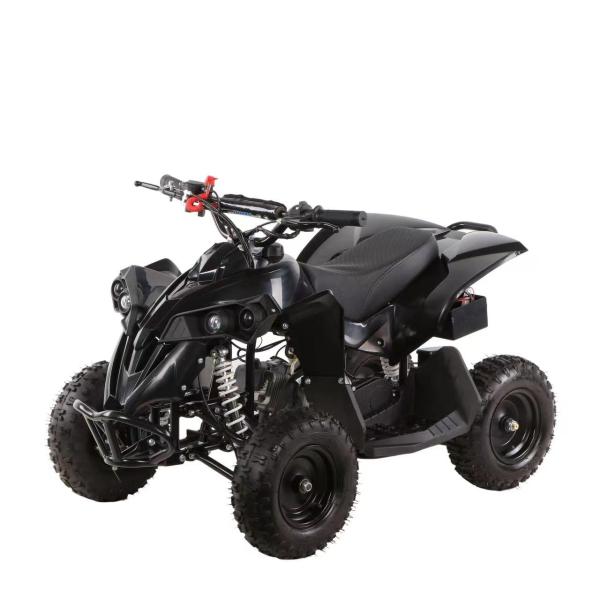 Mini Kids Quad Bike ATV with Automatic Chain Drive Transmission System and 49cc Engine