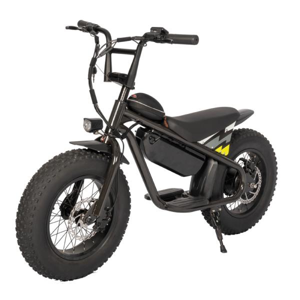16 Inch Aluminum Alloy Frame Kids' Balance Bikes Light and Seat Included for Children