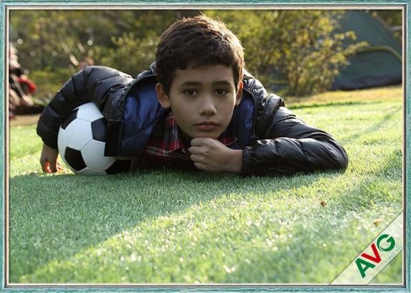 Green Color Friendly Pet Fake Grass / Artificial Grass For Animal Decorations