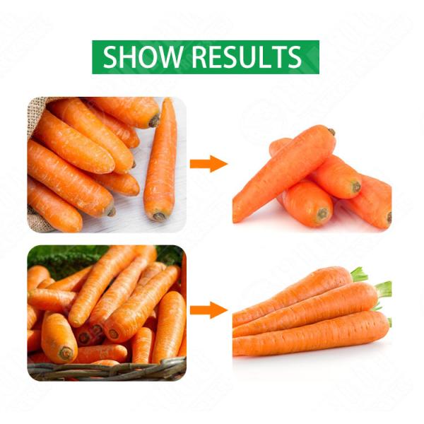 Carrot Onion Potato Grading Machine Fruit And Vegetable Sorting Machine