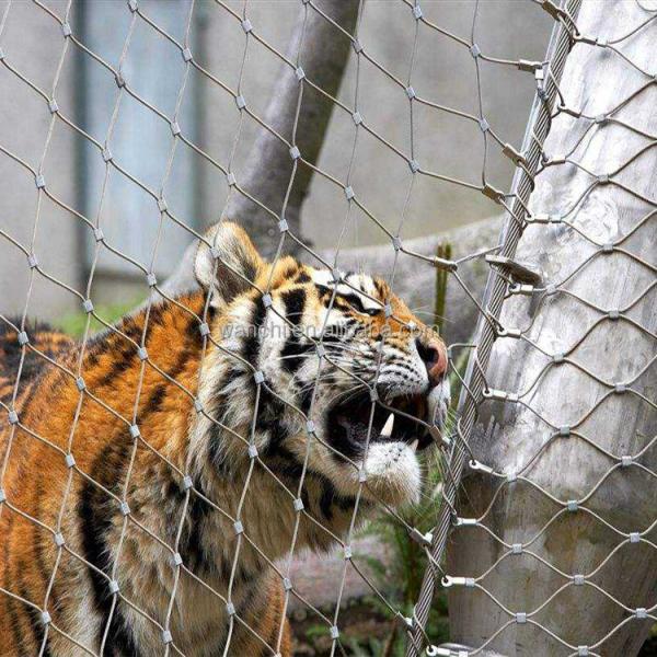 3.0mm 25x25mm Stainless Steel Rope Mesh Hot Dipped Galvanized