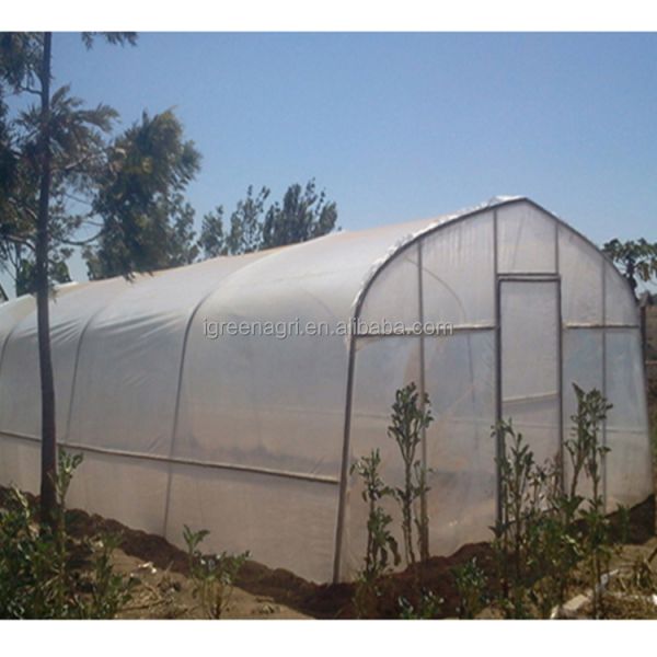 Agricultural Single-Span Small PE Polytunnel Greenhouse for Outdoor Gardens with Natural Tunnel Design