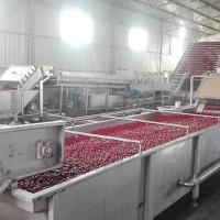 Fruit Juice Processing And Packaging Line Production Capacity Customized